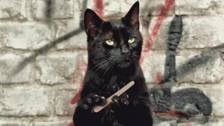 kat